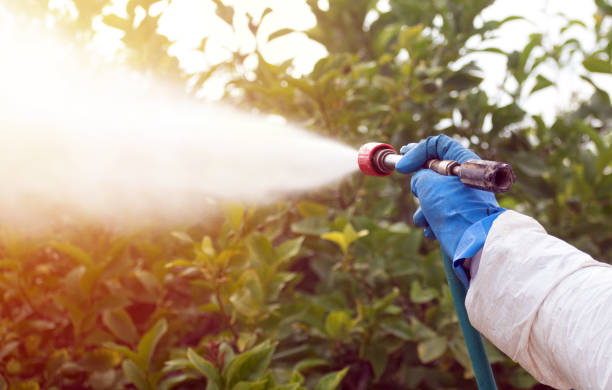 istockphoto 1227130807 612x612 istockphoto 1227130807 612x612